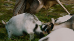 extant_GameOfThrones_4x06-TheLawsOfGodsAndMen_1881