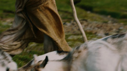 extant_GameOfThrones_4x06-TheLawsOfGodsAndMen_1882