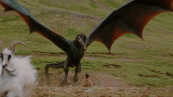 extant_GameOfThrones_4x06-TheLawsOfGodsAndMen_1932