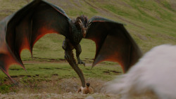 extant_GameOfThrones_4x06-TheLawsOfGodsAndMen_1934