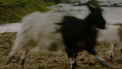 extant_GameOfThrones_4x06-TheLawsOfGodsAndMen_1946
