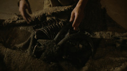 extant_GameOfThrones_4x06-TheLawsOfGodsAndMen_2080