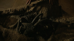 extant_GameOfThrones_4x06-TheLawsOfGodsAndMen_2083
