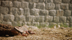 extant_GameOfThrones_4x07-Mockingbird_0466