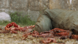 extant_GameOfThrones_4x07-Mockingbird_0499