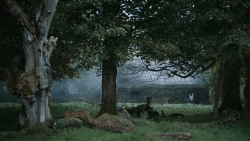 extant_GameOfThrones_4x07-Mockingbird_0604