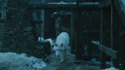 extant_GameOfThrones_4x07-Mockingbird_1382