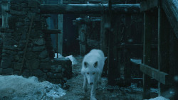 extant_GameOfThrones_4x07-Mockingbird_1383