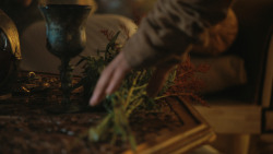 extant_GameOfThrones_4x07-Mockingbird_2626