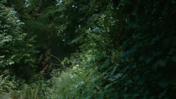 extant_GameOfThrones_4x07-Mockingbird_4792