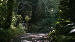 extant_GameOfThrones_4x07-Mockingbird_4873