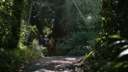 extant_GameOfThrones_4x07-Mockingbird_4877