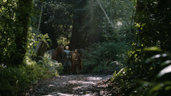 extant_GameOfThrones_4x07-Mockingbird_4880