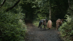 extant_GameOfThrones_4x07-Mockingbird_4927
