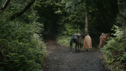 extant_GameOfThrones_4x07-Mockingbird_4928