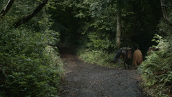 extant_GameOfThrones_4x07-Mockingbird_4934
