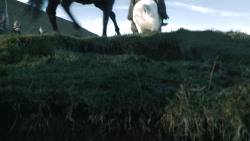 extant_GameOfThrones_4x08-TheMountainAndTheViper_1158