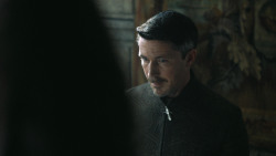 extant_GameOfThrones_4x08-TheMountainAndTheViper_1995