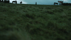 extant_GameOfThrones_4x08-TheMountainAndTheViper_3323