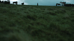 extant_GameOfThrones_4x08-TheMountainAndTheViper_3324
