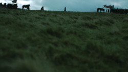 extant_GameOfThrones_4x08-TheMountainAndTheViper_3325