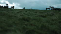 extant_GameOfThrones_4x08-TheMountainAndTheViper_3329