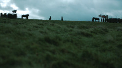 extant_GameOfThrones_4x08-TheMountainAndTheViper_3330