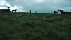 extant_GameOfThrones_4x08-TheMountainAndTheViper_3331