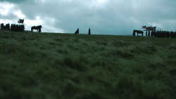 extant_GameOfThrones_4x08-TheMountainAndTheViper_3332