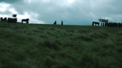 extant_GameOfThrones_4x08-TheMountainAndTheViper_3333