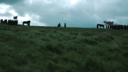 extant_GameOfThrones_4x08-TheMountainAndTheViper_3334