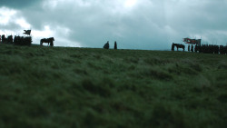 extant_GameOfThrones_4x08-TheMountainAndTheViper_3335