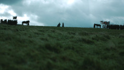 extant_GameOfThrones_4x08-TheMountainAndTheViper_3336