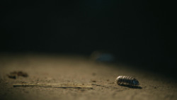 extant_GameOfThrones_4x08-TheMountainAndTheViper_4502