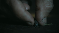 extant_GameOfThrones_4x08-TheMountainAndTheViper_4689