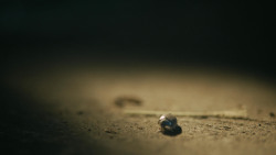 extant_GameOfThrones_4x08-TheMountainAndTheViper_4690
