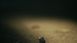 extant_GameOfThrones_4x08-TheMountainAndTheViper_4692