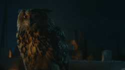 extant_GameOfThrones_4x09-TheWatchersOnTheWall_0384