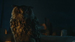 extant_GameOfThrones_4x09-TheWatchersOnTheWall_0385