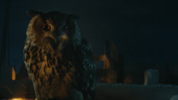 extant_GameOfThrones_4x09-TheWatchersOnTheWall_0386