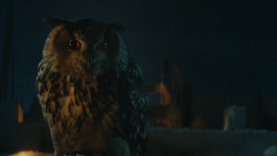 extant_GameOfThrones_4x09-TheWatchersOnTheWall_0387