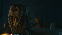 extant_GameOfThrones_4x09-TheWatchersOnTheWall_0388