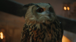 extant_GameOfThrones_4x09-TheWatchersOnTheWall_1232