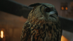 extant_GameOfThrones_4x09-TheWatchersOnTheWall_1233