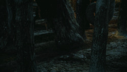 extant_GameOfThrones_4x09-TheWatchersOnTheWall_2043