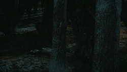 extant_GameOfThrones_4x09-TheWatchersOnTheWall_2046