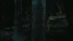 extant_GameOfThrones_4x09-TheWatchersOnTheWall_2048