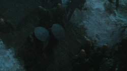 extant_GameOfThrones_4x09-TheWatchersOnTheWall_2356
