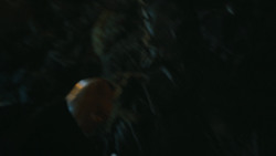 extant_GameOfThrones_4x09-TheWatchersOnTheWall_2399