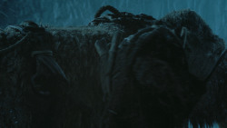 extant_GameOfThrones_4x09-TheWatchersOnTheWall_3184
